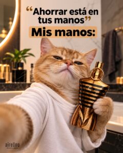 Inicio AireUno